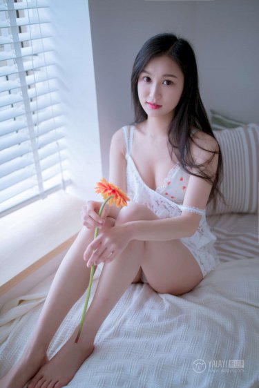 陪你逐风飞翔演员表