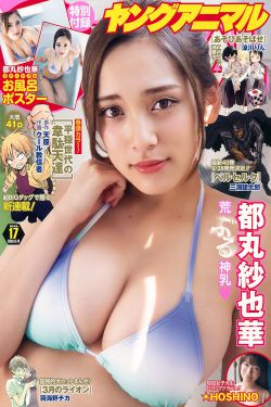追风者电视剧全集免费观看高清